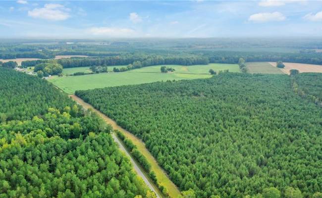 6+AC Saint Lukes Road, Southampton County, VA 23866