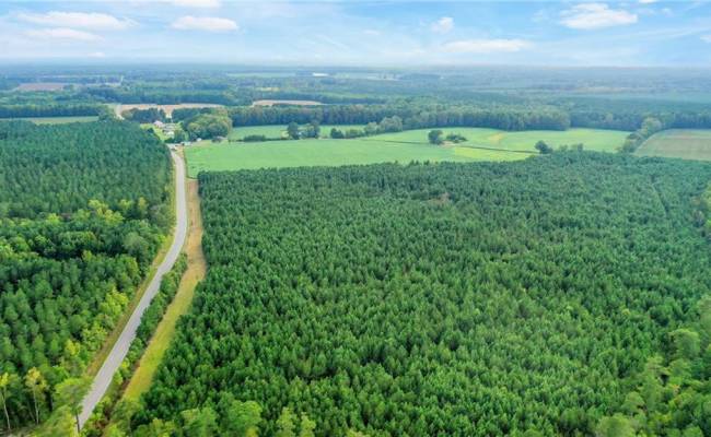 5+AC Ivor Road, Southampton County, VA 23866