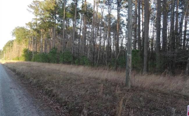 42 AC Strawberry Plaines, Isle of Wight County, VA 23866