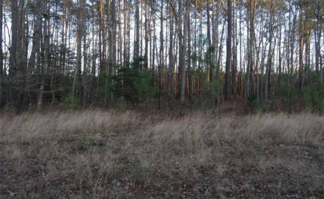 42 AC Strawberry Plaines, Isle of Wight County, VA 23866