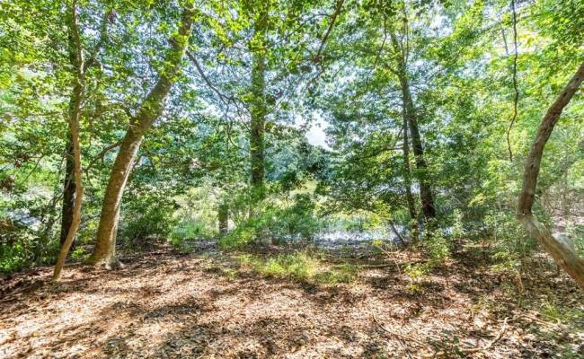 42 Scufflefield Road, Newport News, VA 23602