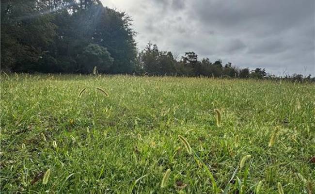 401 Pointe Vista Drive, Pasquotank County, NC 27909