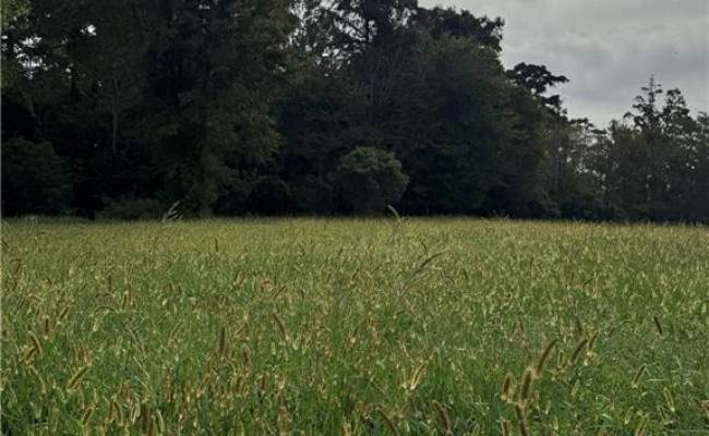 401 Pointe Vista Drive, Pasquotank County, NC 27909