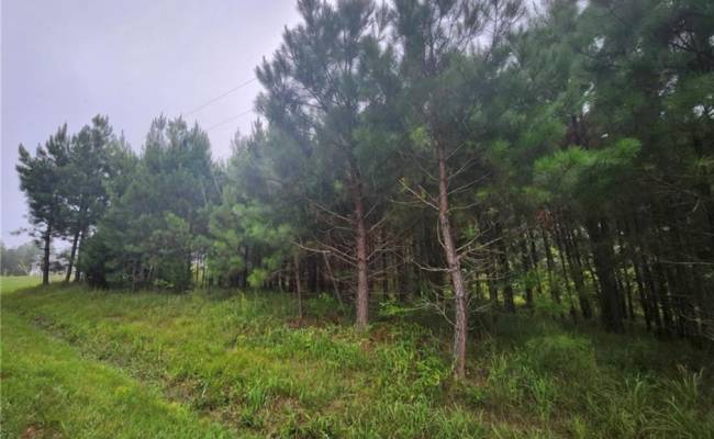 .51+AC Splendors Subd , Pittsylvania County, VA 24563