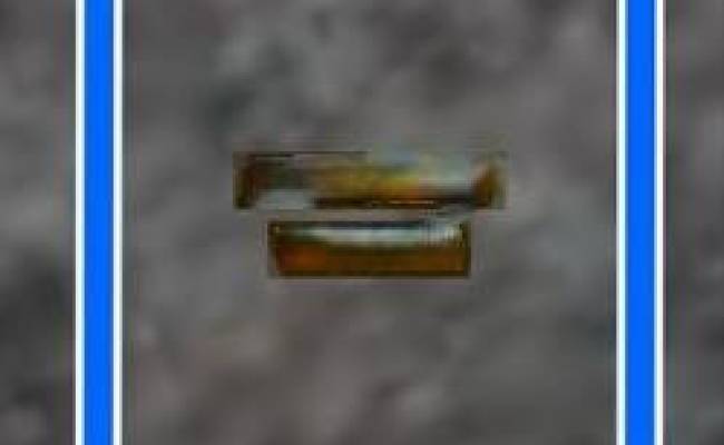 1623 Tuck Street, Chesapeake, VA 23322