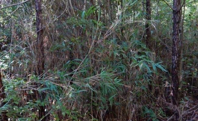 4235 Marlin Ave , Suffolk, VA 23432