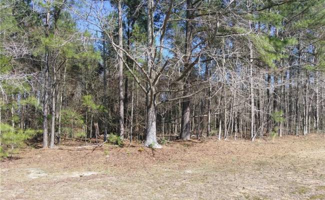 42-7B College Run, Surry County, VA 23846