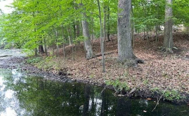 917 Lacon Drive, Newport News, VA 23608