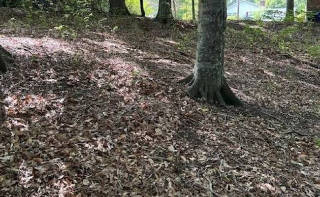 917 Lacon Drive, Newport News, VA 23608