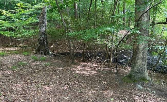 917 Lacon Drive, Newport News, VA 23608