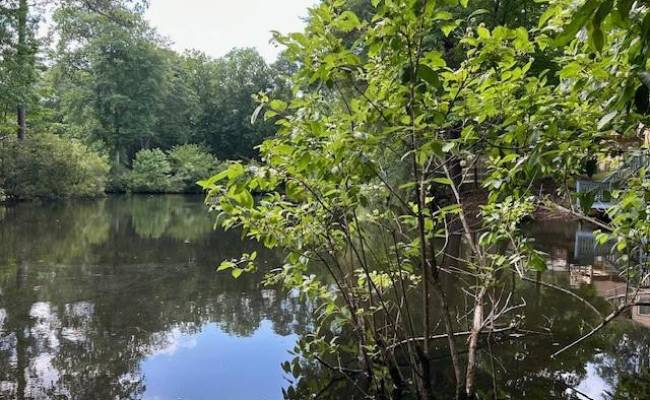 917 Lacon Drive, Newport News, VA 23608