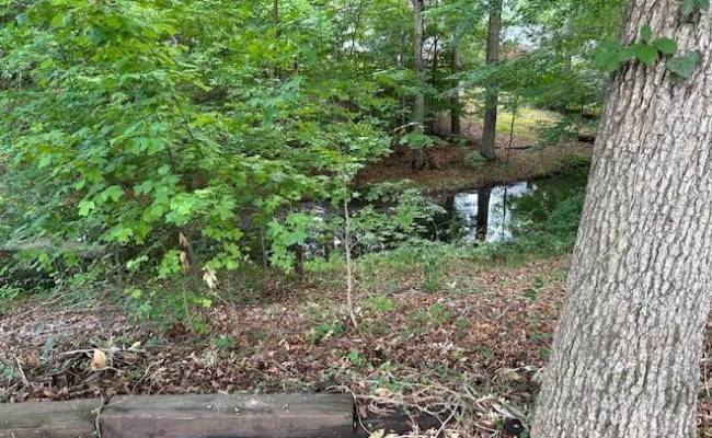 917 Lacon Drive, Newport News, VA 23608