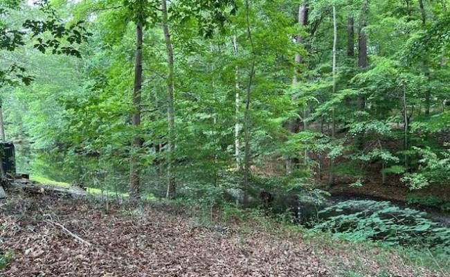 917 Lacon Drive, Newport News, VA 23608