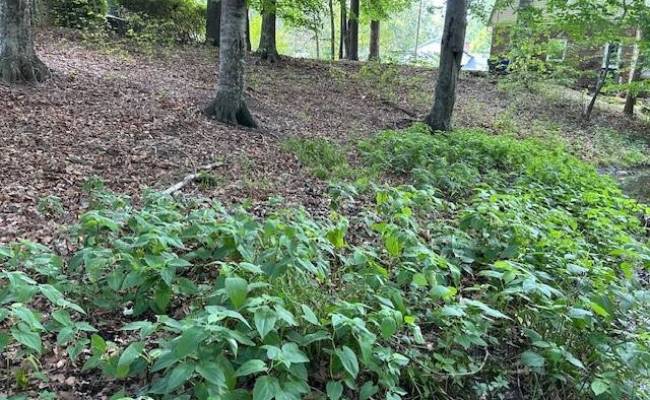 917 Lacon Drive, Newport News, VA 23608