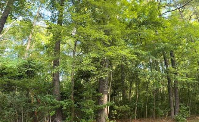 Lot 31 Darden Street, Chesapeake, VA 23322
