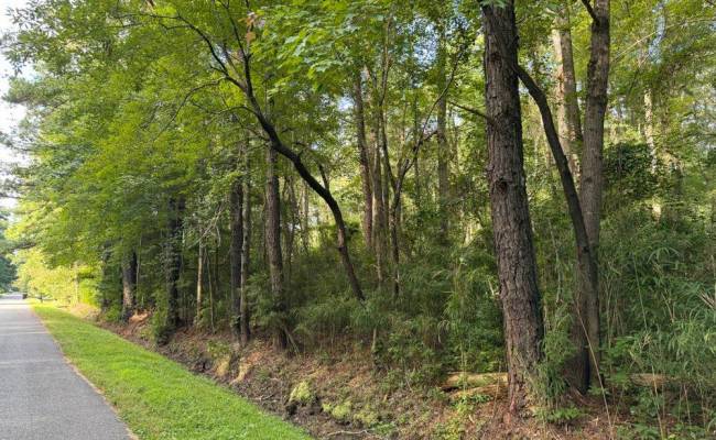 Lot 31 Darden Street, Chesapeake, VA 23322