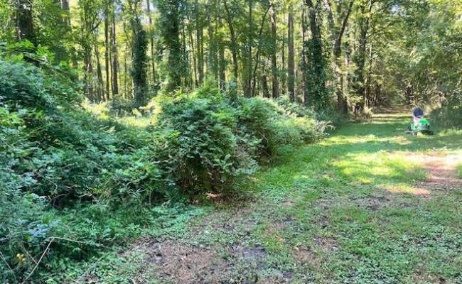 Lot 64 Main Street, Suffolk, VA 23434