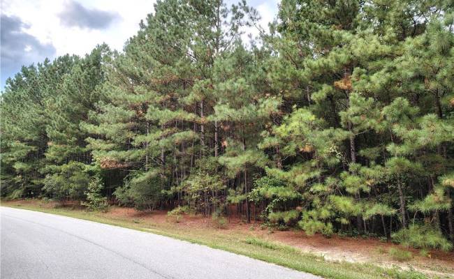 40 Stanley Court, Surry County, VA 23883