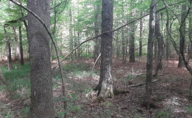 6664 Blackwater Road, Virginia Beach, VA 23457