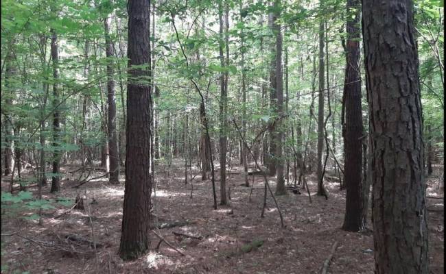 6664 Blackwater Road, Virginia Beach, VA 23457