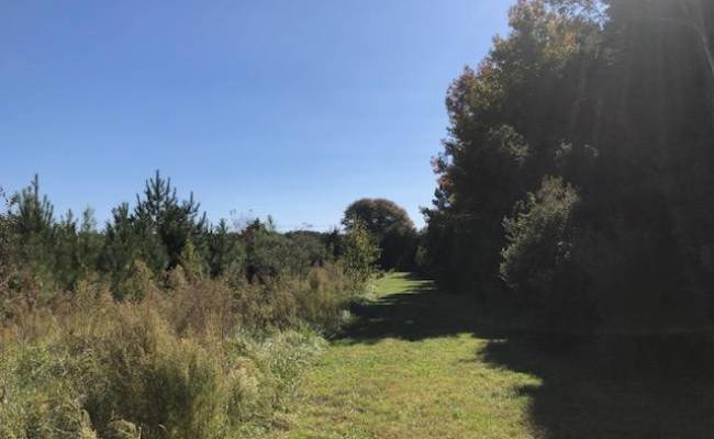 2.995 Plantation (Parcel B Ac) Road, Accomack County, VA 23417