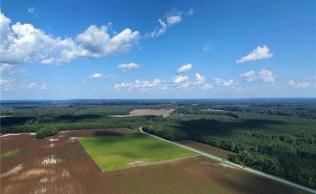 31242 Holly Run Drive, Isle of Wight County, VA 23315