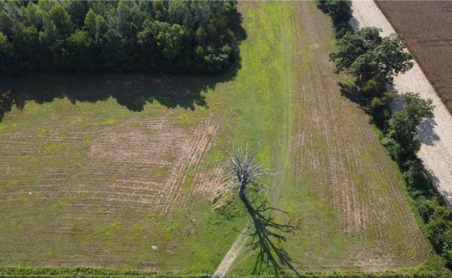 31242 Holly Run Drive, Isle of Wight County, VA 23315