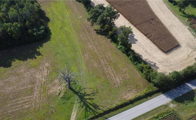 31242 Holly Run Drive, Isle of Wight County, VA 23315