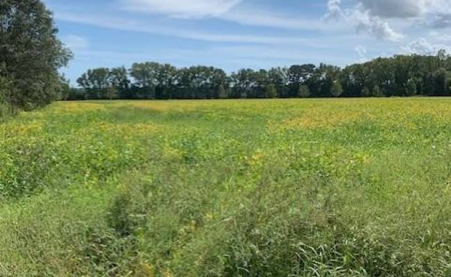 10+ AC Fentress Airfield Road, Chesapeake, VA 23322