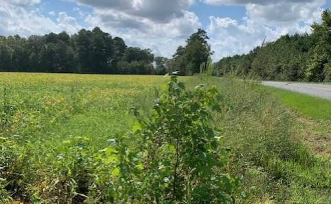 10+ AC Fentress Airfield Road, Chesapeake, VA 23322
