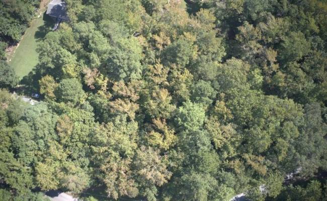 lot 48 Country Club Drive, Brunswick County, VA 23857