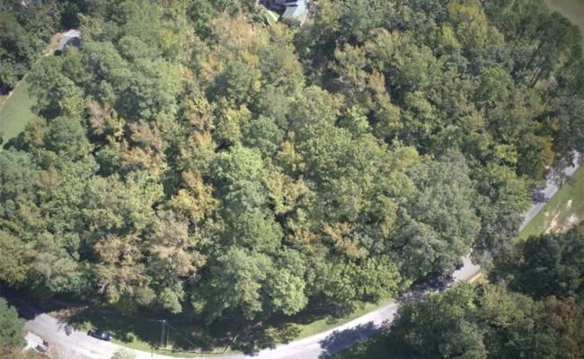 lot 48 Country Club Drive, Brunswick County, VA 23857