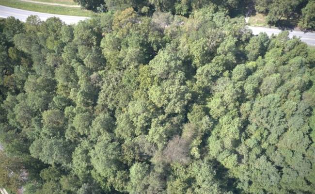 2.35ac Carrsville Highway, Isle of Wight County, VA 23315