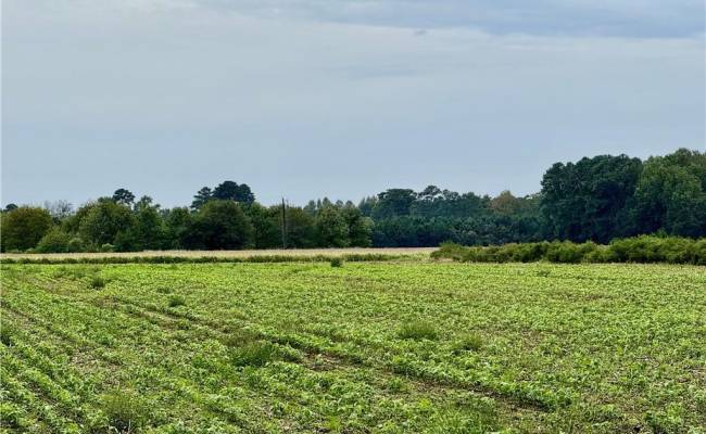 2025 Pungo Ridge Court, Virginia Beach, VA 23457