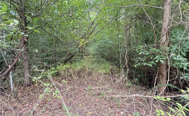 2.5AC George Washington Highway, Chesapeake, VA 23322