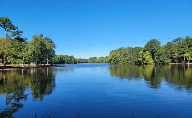 11.8AC Faison Road, Sussex County, VA 23888