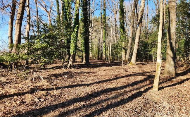 11.8AC Faison Road, Sussex County, VA 23888