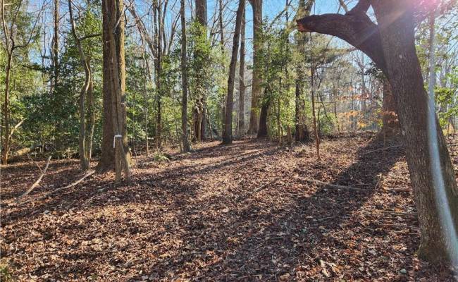 11.8AC Faison Road, Sussex County, VA 23888