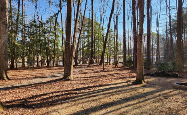 11.8AC Faison Road, Sussex County, VA 23888