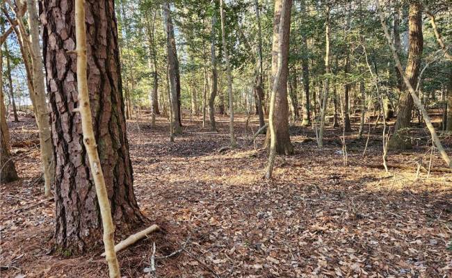 11.8AC Faison Road, Sussex County, VA 23888