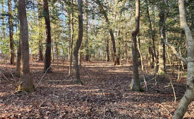 11.8AC Faison Road, Sussex County, VA 23888