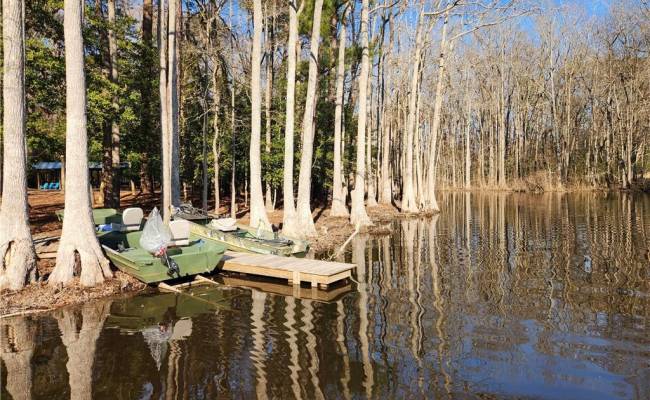 11.8AC Faison Road, Sussex County, VA 23888