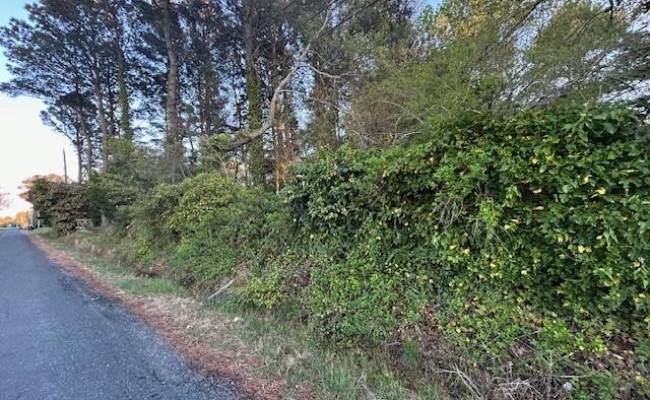 10306 Brownsville Road, Northampton County, VA 23413
