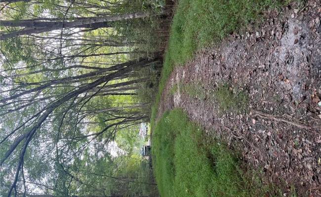 LOT 8 Darden Street, Chesapeake, VA 23322