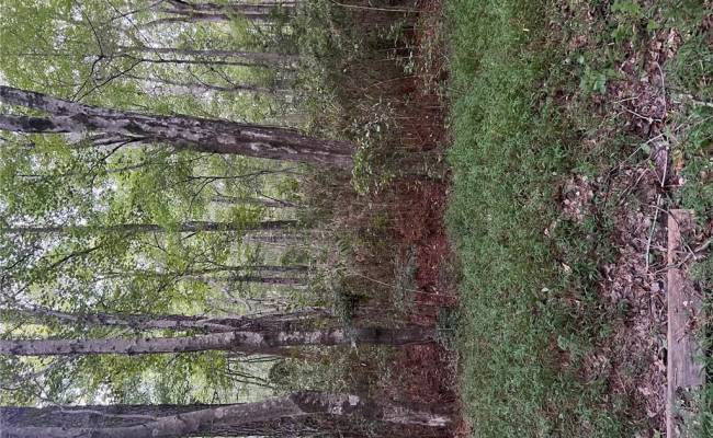 LOT 8 Darden Street, Chesapeake, VA 23322