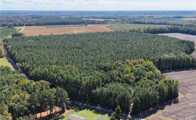 4.56 Little Low Ground Road, Greensville County, VA 23847