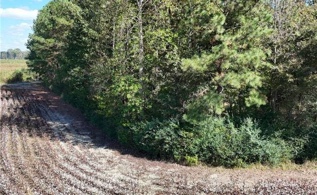 4.56 Little Low Ground Road, Greensville County, VA 23847