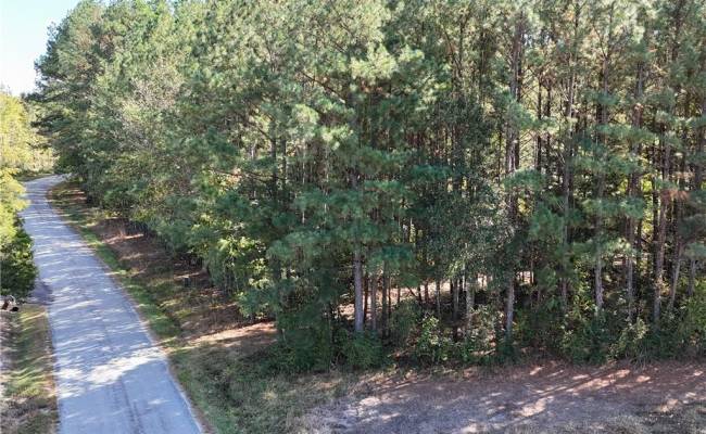 4.56 Little Low Ground Road, Greensville County, VA 23847