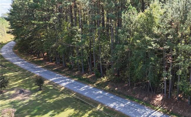 4.56 Little Low Ground Road, Greensville County, VA 23847
