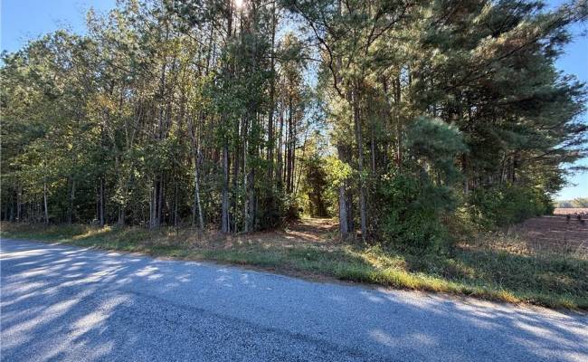 4.56 Little Low Ground Road, Greensville County, VA 23847